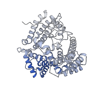 33112_7xc2_D_v1-2
Cryo EM structure of oligomeric complex formed by wheat CNL Sr35 and the effector AvrSr35 of the wheat stem rust pathogen