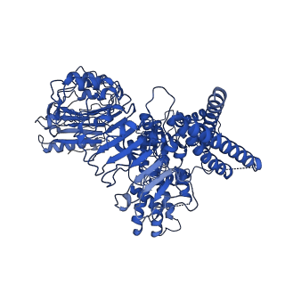 33112_7xc2_E_v1-2
Cryo EM structure of oligomeric complex formed by wheat CNL Sr35 and the effector AvrSr35 of the wheat stem rust pathogen
