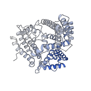33112_7xc2_H_v1-2
Cryo EM structure of oligomeric complex formed by wheat CNL Sr35 and the effector AvrSr35 of the wheat stem rust pathogen