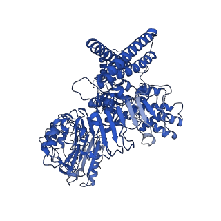 33112_7xc2_I_v1-2
Cryo EM structure of oligomeric complex formed by wheat CNL Sr35 and the effector AvrSr35 of the wheat stem rust pathogen