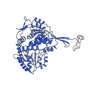 33113_7xc6_A_v1-1
Photobacterium phosphoreum fatty acid reductase complex LuxC-LuxE