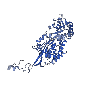 33113_7xc6_B_v1-1
Photobacterium phosphoreum fatty acid reductase complex LuxC-LuxE