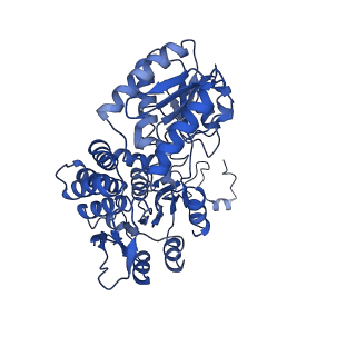 33113_7xc6_C_v1-1
Photobacterium phosphoreum fatty acid reductase complex LuxC-LuxE