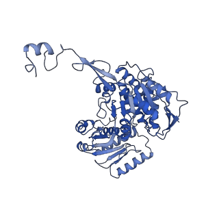 33113_7xc6_D_v1-1
Photobacterium phosphoreum fatty acid reductase complex LuxC-LuxE
