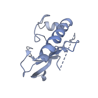 33113_7xc6_E_v1-1
Photobacterium phosphoreum fatty acid reductase complex LuxC-LuxE
