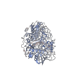 33114_7xc7_A_v1-1
Cryo-EM structure of a bacterial protein complex