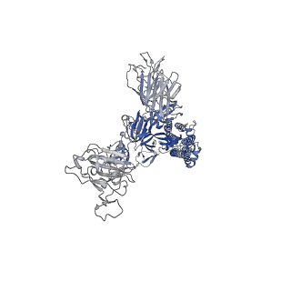 33120_7xch_A_v1-0
Cryo-EM structure of SARS-CoV-2 Omicron spike protein (S-6P-RRAR) in complex with human ACE2 ectodomain (two-RBD-up state)