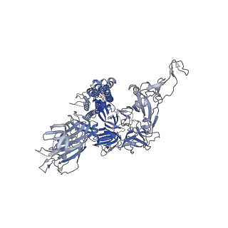 33120_7xch_B_v1-0
Cryo-EM structure of SARS-CoV-2 Omicron spike protein (S-6P-RRAR) in complex with human ACE2 ectodomain (two-RBD-up state)