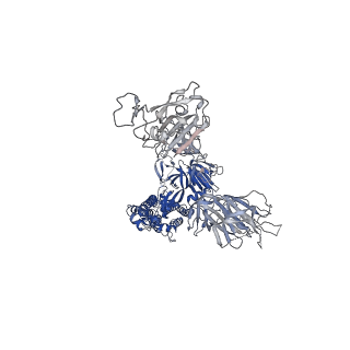 33120_7xch_C_v1-0
Cryo-EM structure of SARS-CoV-2 Omicron spike protein (S-6P-RRAR) in complex with human ACE2 ectodomain (two-RBD-up state)