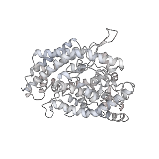 33120_7xch_E_v1-0
Cryo-EM structure of SARS-CoV-2 Omicron spike protein (S-6P-RRAR) in complex with human ACE2 ectodomain (two-RBD-up state)