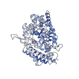 33121_7xci_A_v1-0
Cryo-EM structure of SARS-CoV-2 Omicron RBD in complex with human ACE2 ectodomain (local refinement)