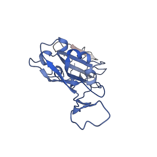 33121_7xci_B_v1-0
Cryo-EM structure of SARS-CoV-2 Omicron RBD in complex with human ACE2 ectodomain (local refinement)