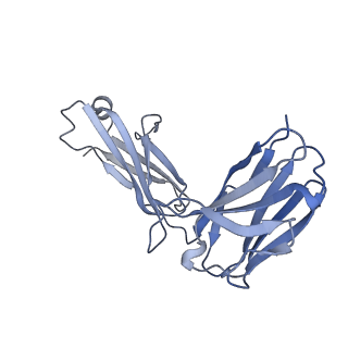 33123_7xck_B_v1-0
Cryo-EM structure of SARS-CoV-2 Omicron RBD in complex with S309 fab (local refinement)