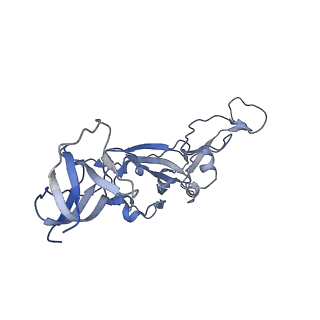33123_7xck_M_v1-0
Cryo-EM structure of SARS-CoV-2 Omicron RBD in complex with S309 fab (local refinement)