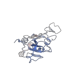 33125_7xcp_B_v1-0
Cryo-EM structure of Omicron RBD complexed with ACE2 and 304 Fab