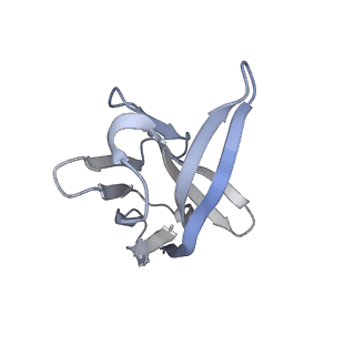 33125_7xcp_H_v1-0
Cryo-EM structure of Omicron RBD complexed with ACE2 and 304 Fab