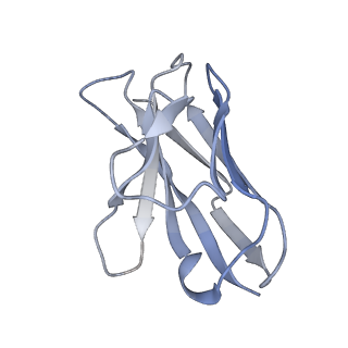 33125_7xcp_L_v1-0
Cryo-EM structure of Omicron RBD complexed with ACE2 and 304 Fab