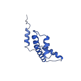 33126_7xcr_A_v1-2
Cryo-EM structure of Dot1L and H2BK34ub-H3K79Nle nucleosome 1:1 complex