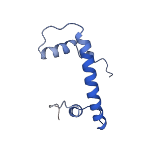 33126_7xcr_B_v1-2
Cryo-EM structure of Dot1L and H2BK34ub-H3K79Nle nucleosome 1:1 complex