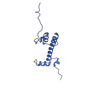 33126_7xcr_C_v1-2
Cryo-EM structure of Dot1L and H2BK34ub-H3K79Nle nucleosome 1:1 complex