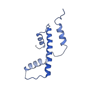 33126_7xcr_E_v1-2
Cryo-EM structure of Dot1L and H2BK34ub-H3K79Nle nucleosome 1:1 complex