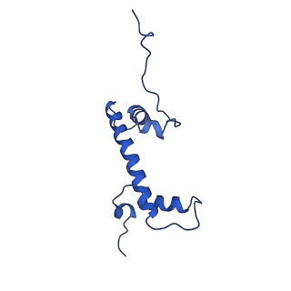 33126_7xcr_G_v1-2
Cryo-EM structure of Dot1L and H2BK34ub-H3K79Nle nucleosome 1:1 complex