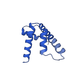 33126_7xcr_H_v1-2
Cryo-EM structure of Dot1L and H2BK34ub-H3K79Nle nucleosome 1:1 complex