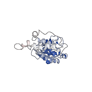 33126_7xcr_K_v1-2
Cryo-EM structure of Dot1L and H2BK34ub-H3K79Nle nucleosome 1:1 complex