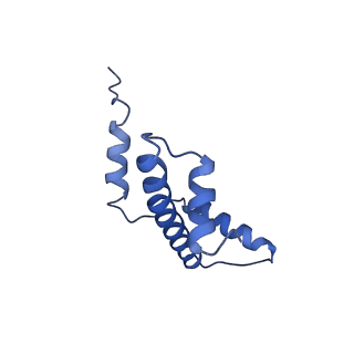 33127_7xct_A_v1-2
Cryo-EM structure of Dot1L and H2BK34ub-H3K79Nle nucleosome 2:1 complex