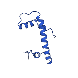 33127_7xct_B_v1-2
Cryo-EM structure of Dot1L and H2BK34ub-H3K79Nle nucleosome 2:1 complex