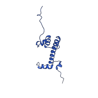 33127_7xct_C_v1-2
Cryo-EM structure of Dot1L and H2BK34ub-H3K79Nle nucleosome 2:1 complex