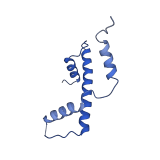 33127_7xct_E_v1-2
Cryo-EM structure of Dot1L and H2BK34ub-H3K79Nle nucleosome 2:1 complex