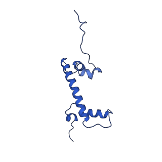 33127_7xct_G_v1-2
Cryo-EM structure of Dot1L and H2BK34ub-H3K79Nle nucleosome 2:1 complex