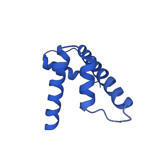 33127_7xct_H_v1-2
Cryo-EM structure of Dot1L and H2BK34ub-H3K79Nle nucleosome 2:1 complex