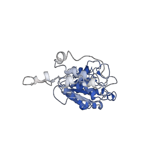 33127_7xct_K_v1-2
Cryo-EM structure of Dot1L and H2BK34ub-H3K79Nle nucleosome 2:1 complex