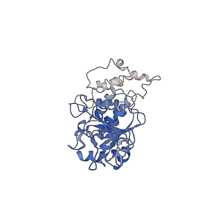 33127_7xct_M_v1-2
Cryo-EM structure of Dot1L and H2BK34ub-H3K79Nle nucleosome 2:1 complex