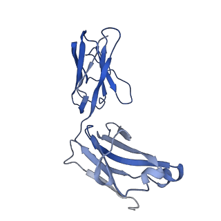 33130_7xcz_E_v1-0
Cryo-EM structure of SARS-CoV-2 Delta RBD in complex with BA7054 and BA7125 fab (local refinement)