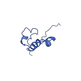 22131_6xd3_H_v1-1
Structure of the human CAK in complex with THZ1