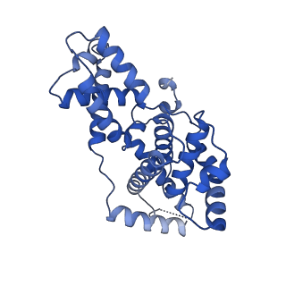 22131_6xd3_I_v1-1
Structure of the human CAK in complex with THZ1