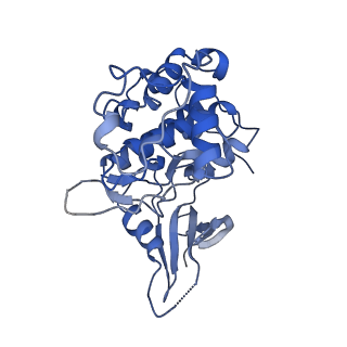 22131_6xd3_J_v1-1
Structure of the human CAK in complex with THZ1