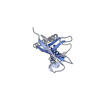 22136_6xdc_B_v1-4
Cryo-EM structure of SARS-CoV-2 ORF3a