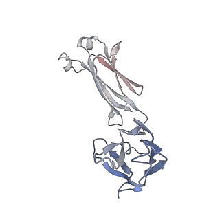 22137_6xdg_A_v1-2
Complex of SARS-CoV-2 receptor binding domain with the Fab fragments of two neutralizing antibodies