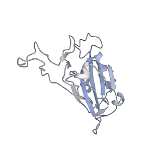 22137_6xdg_E_v1-2
Complex of SARS-CoV-2 receptor binding domain with the Fab fragments of two neutralizing antibodies