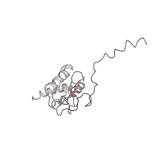22141_6xdq_9_v1-2
Cryo-EM structure of an Escherichia coli coupled transcription-translation complex B3 (TTC-B3) containing an mRNA with a 30 nt long spacer, transcription factors NusA and NusG, and fMet-tRNAs at P-site and E-site