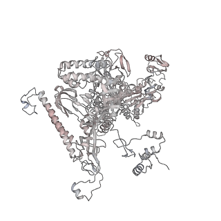 22141_6xdq_AA_v1-2
Cryo-EM structure of an Escherichia coli coupled transcription-translation complex B3 (TTC-B3) containing an mRNA with a 30 nt long spacer, transcription factors NusA and NusG, and fMet-tRNAs at P-site and E-site