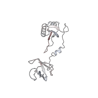 22141_6xdq_AB_v1-2
Cryo-EM structure of an Escherichia coli coupled transcription-translation complex B3 (TTC-B3) containing an mRNA with a 30 nt long spacer, transcription factors NusA and NusG, and fMet-tRNAs at P-site and E-site