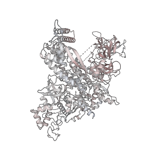 22141_6xdq_AE_v1-2
Cryo-EM structure of an Escherichia coli coupled transcription-translation complex B3 (TTC-B3) containing an mRNA with a 30 nt long spacer, transcription factors NusA and NusG, and fMet-tRNAs at P-site and E-site