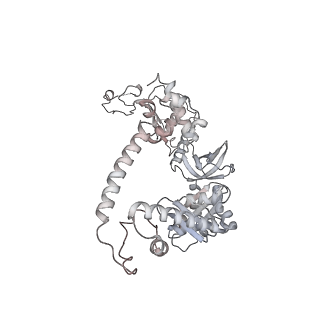 22141_6xdq_AG_v1-2
Cryo-EM structure of an Escherichia coli coupled transcription-translation complex B3 (TTC-B3) containing an mRNA with a 30 nt long spacer, transcription factors NusA and NusG, and fMet-tRNAs at P-site and E-site