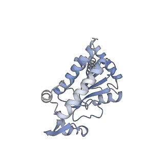 22141_6xdq_G_v1-2
Cryo-EM structure of an Escherichia coli coupled transcription-translation complex B3 (TTC-B3) containing an mRNA with a 30 nt long spacer, transcription factors NusA and NusG, and fMet-tRNAs at P-site and E-site