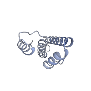 22141_6xdq_T_v1-2
Cryo-EM structure of an Escherichia coli coupled transcription-translation complex B3 (TTC-B3) containing an mRNA with a 30 nt long spacer, transcription factors NusA and NusG, and fMet-tRNAs at P-site and E-site